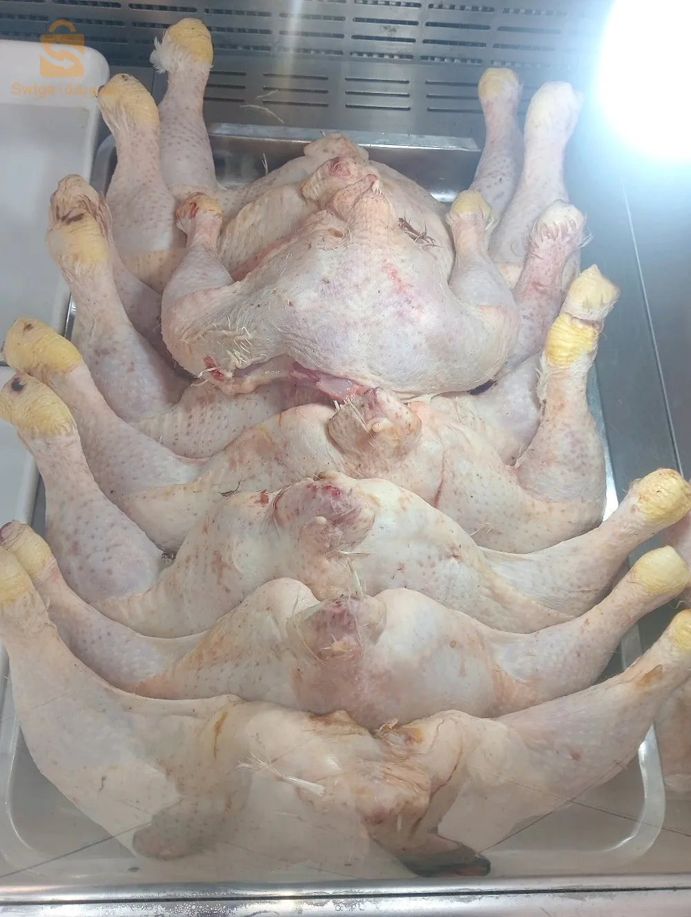 عين الله حي رقيق