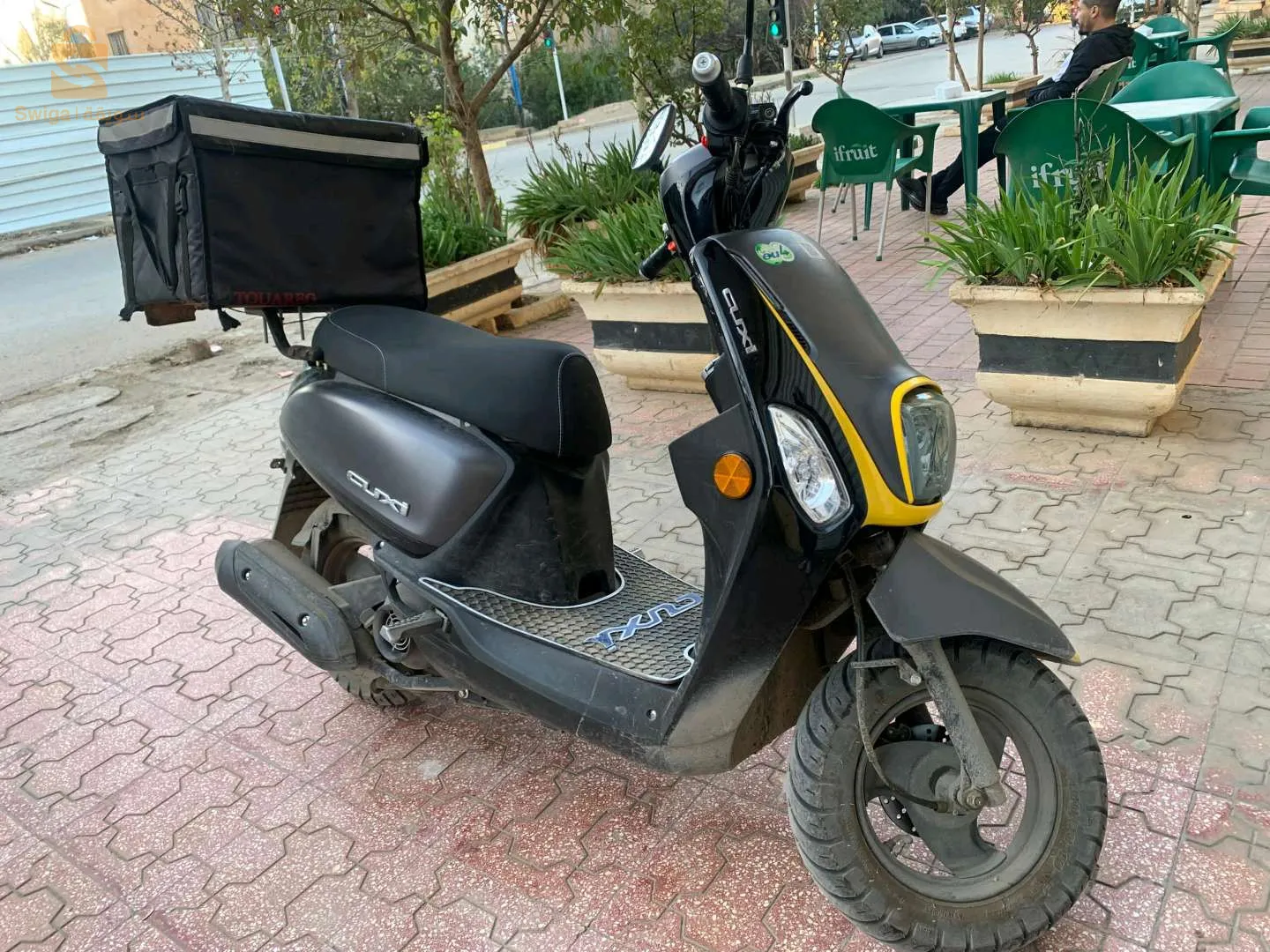 cuxi 2 2023 Grey card machi safya