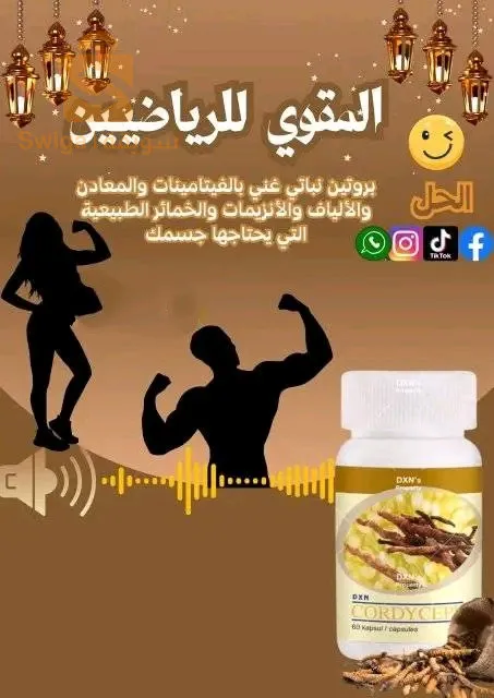 الجزائر