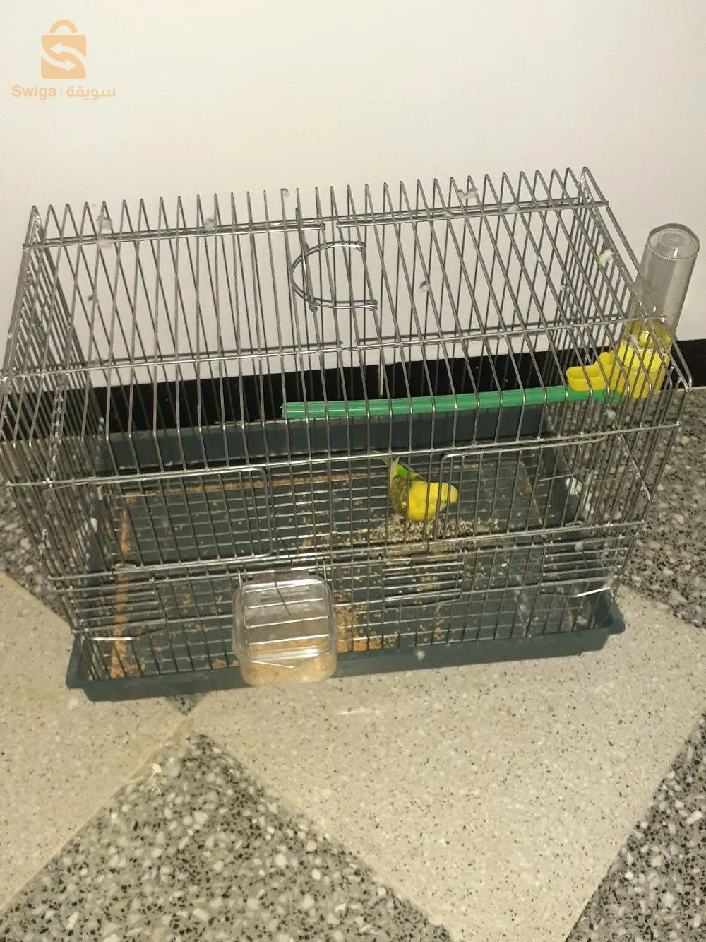 تنس