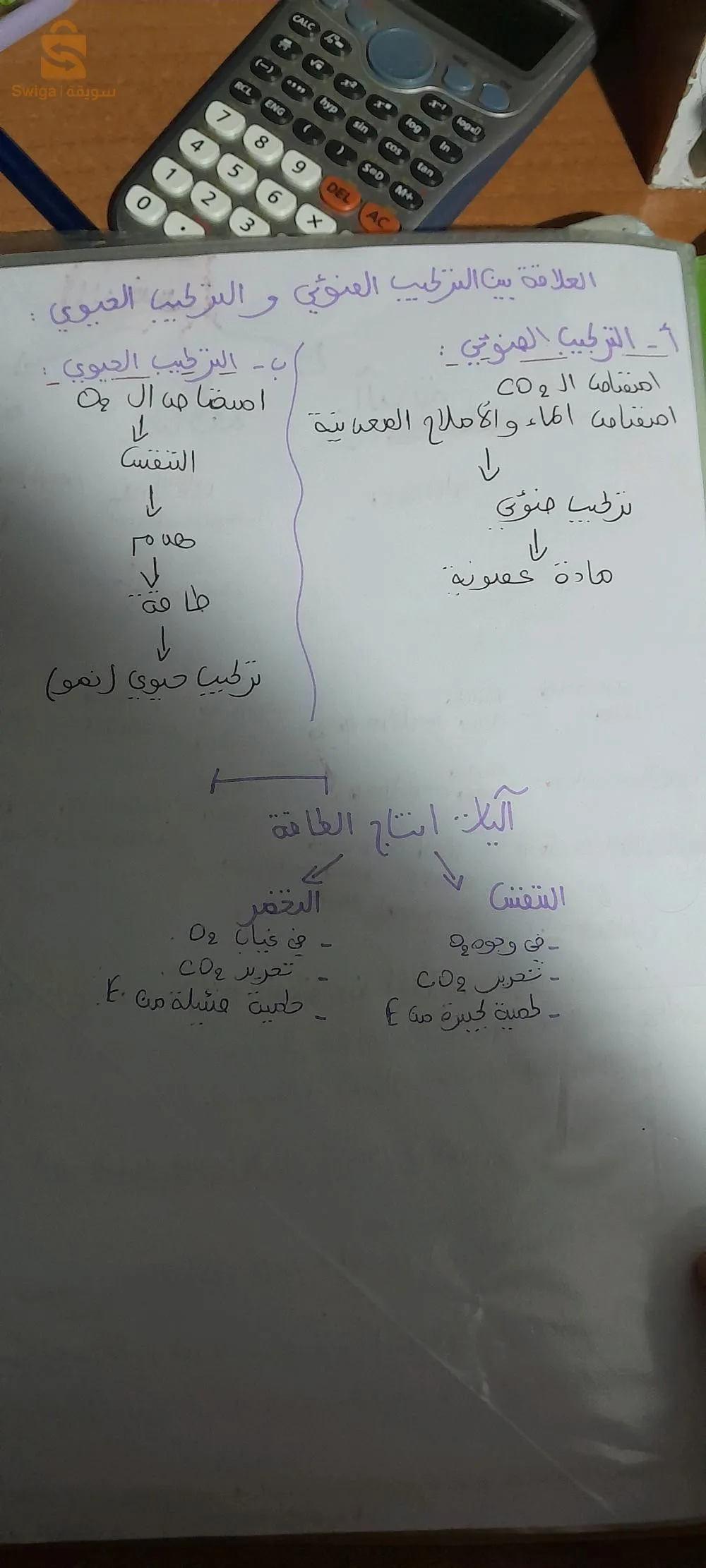 القليعة