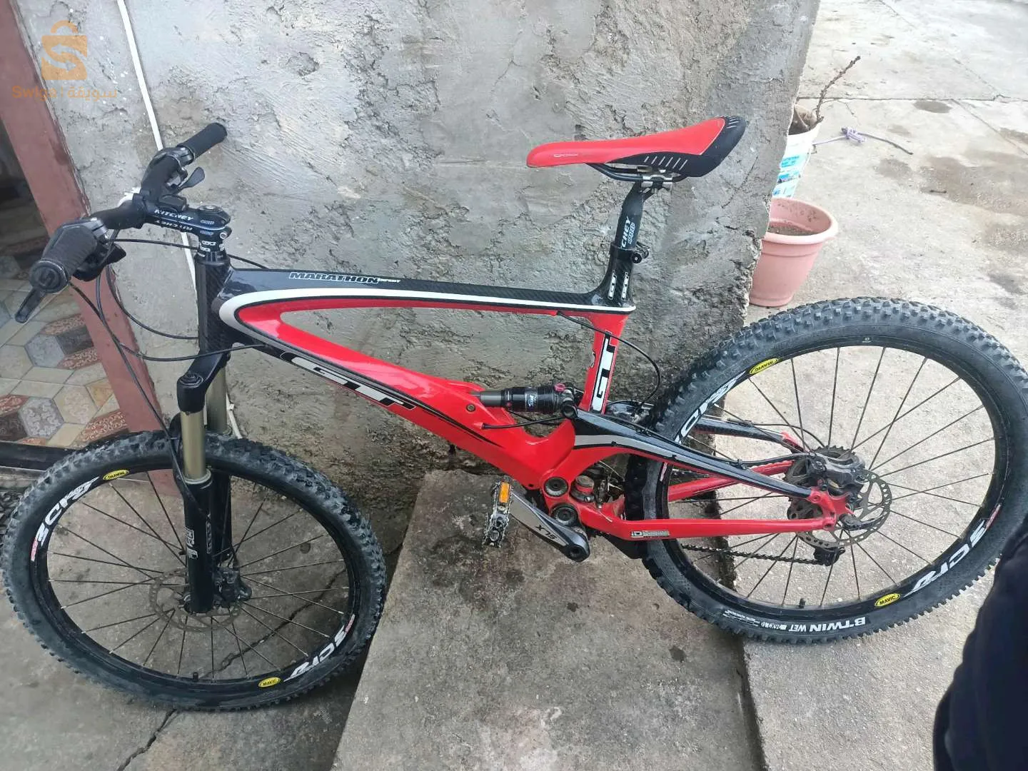 الزيتونة ولاية سكيكدة