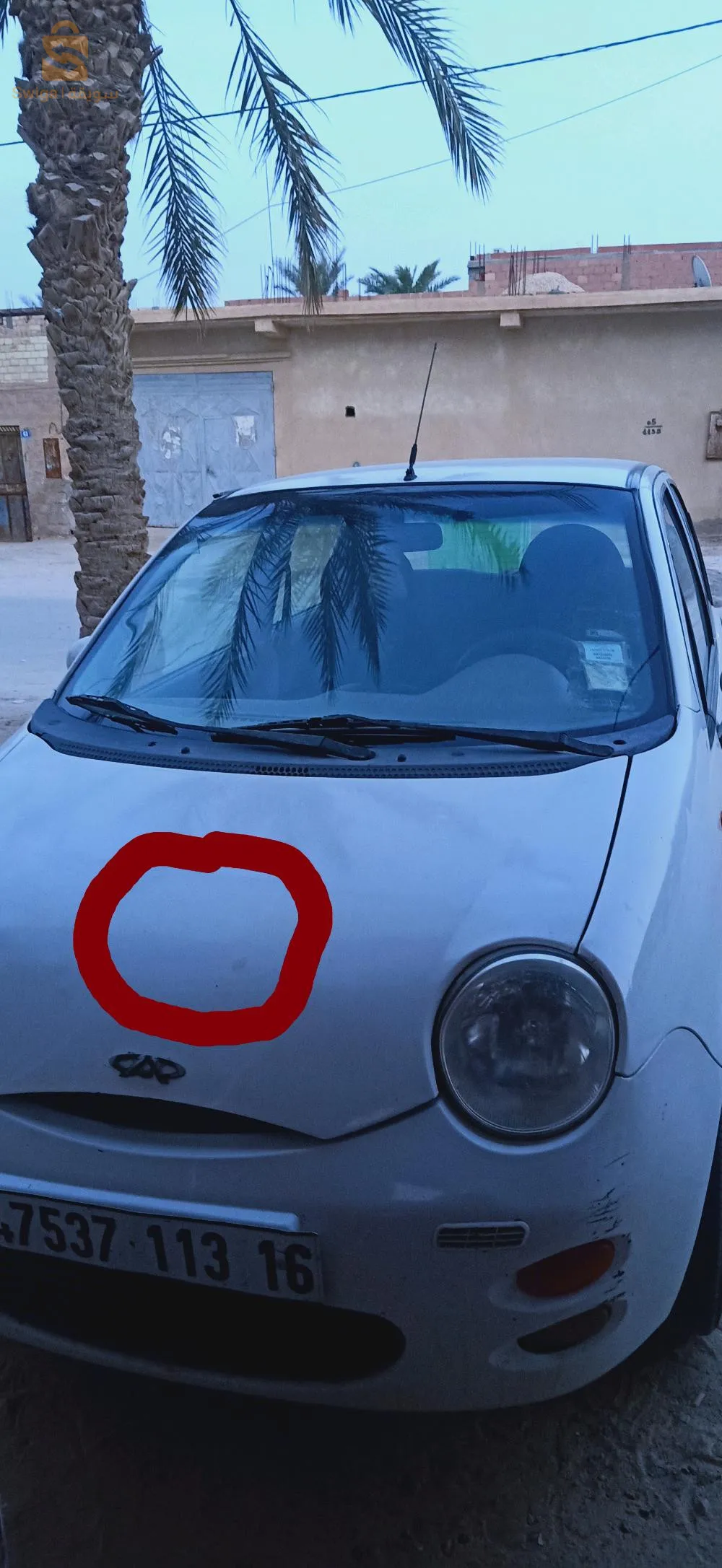 جامعة ولاية المغير