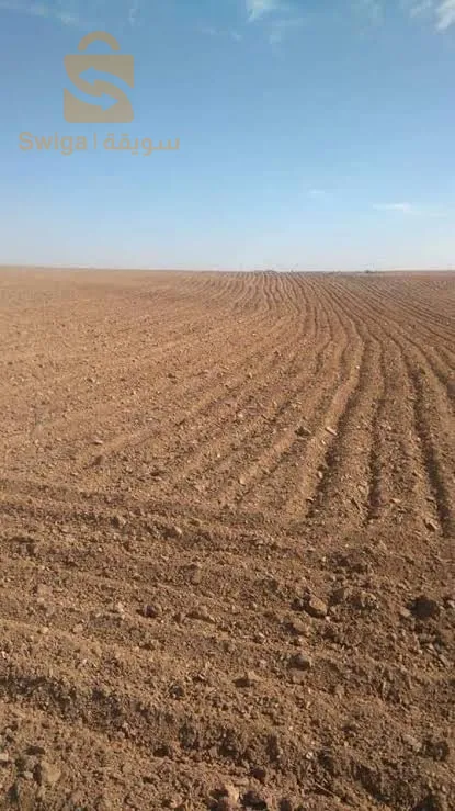 غليزان بلدية سيدي محمد بنعود