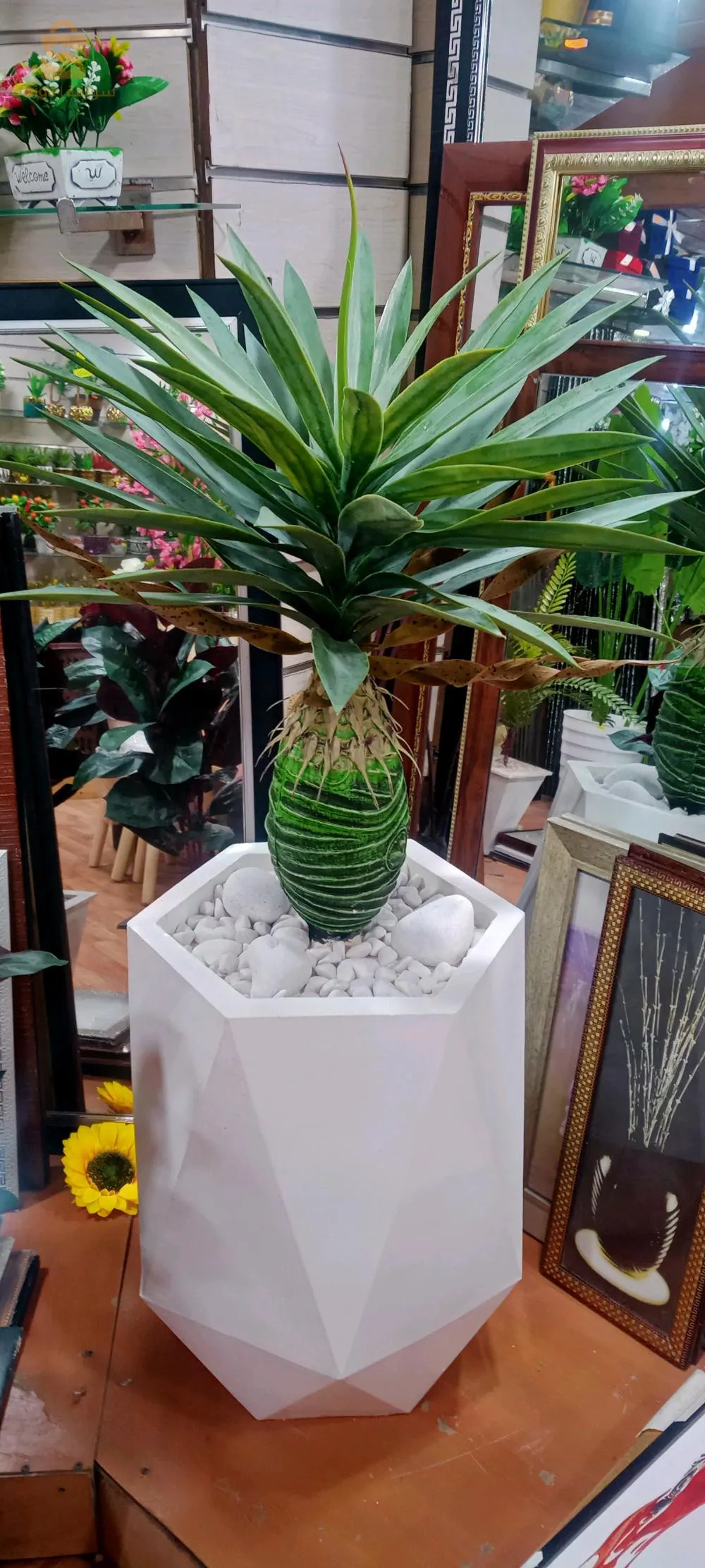 Décoration d'intérieur, tableaux, miroir,plantes et arbres artificiels