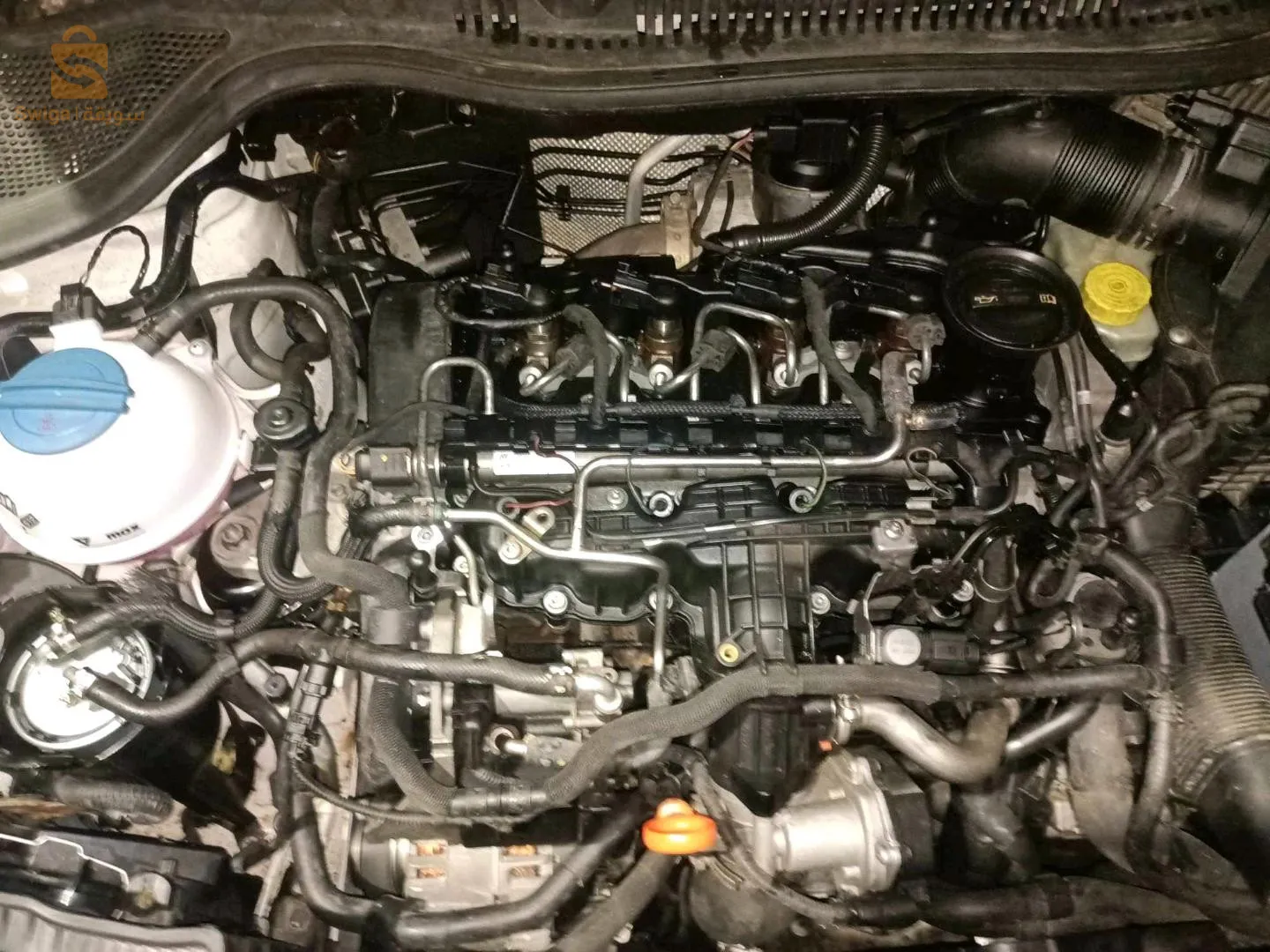 ايبيزا fr 2012