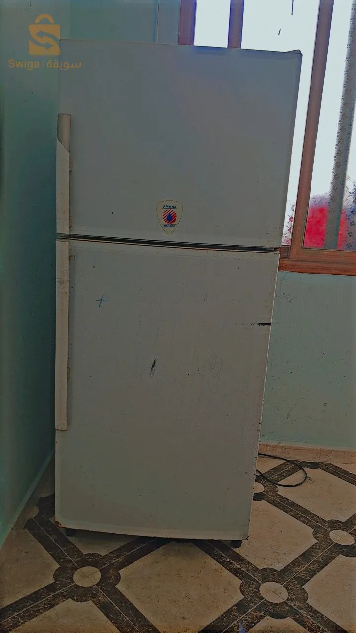 بلدية مجانة