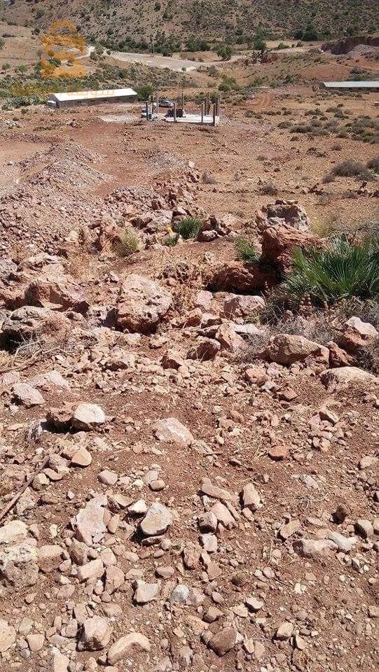 بوجليدة حي عبد المومون بن علي