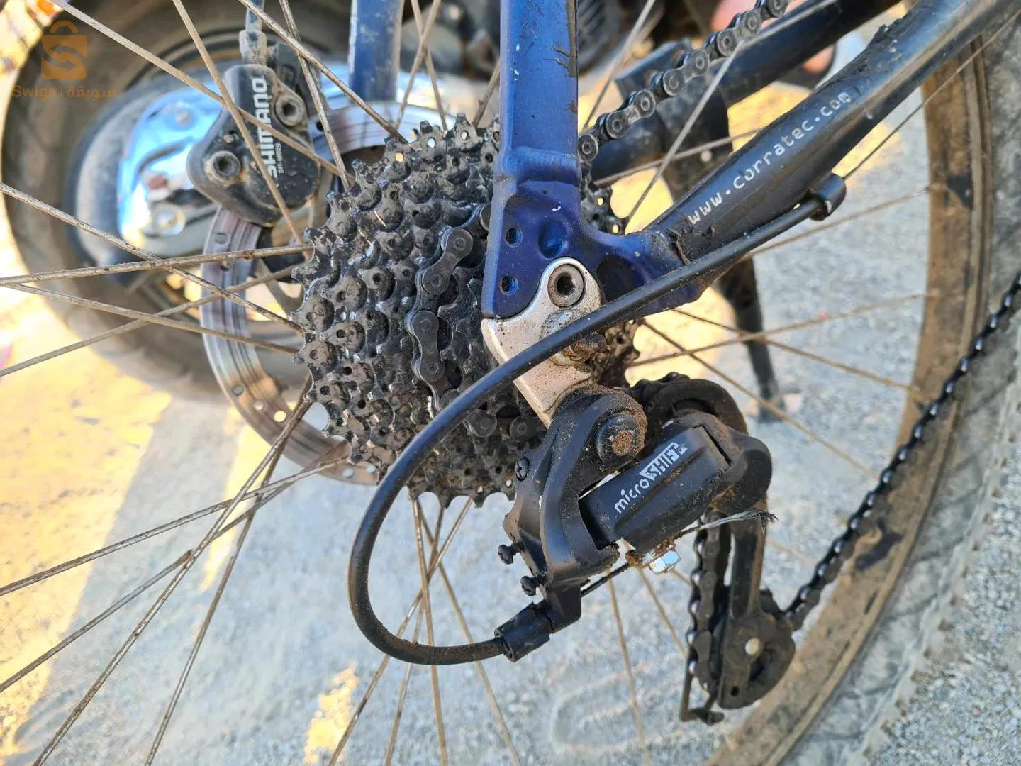 البوني بلدية البوني