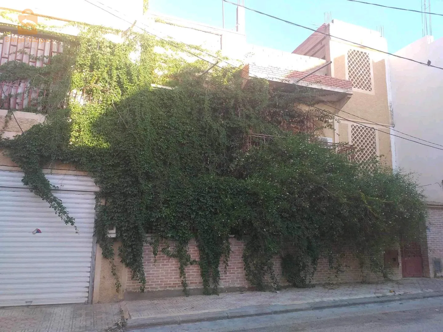 خنشلة