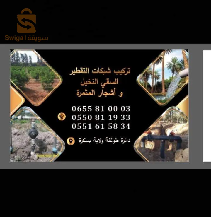 طولقة ولاية بسكرة