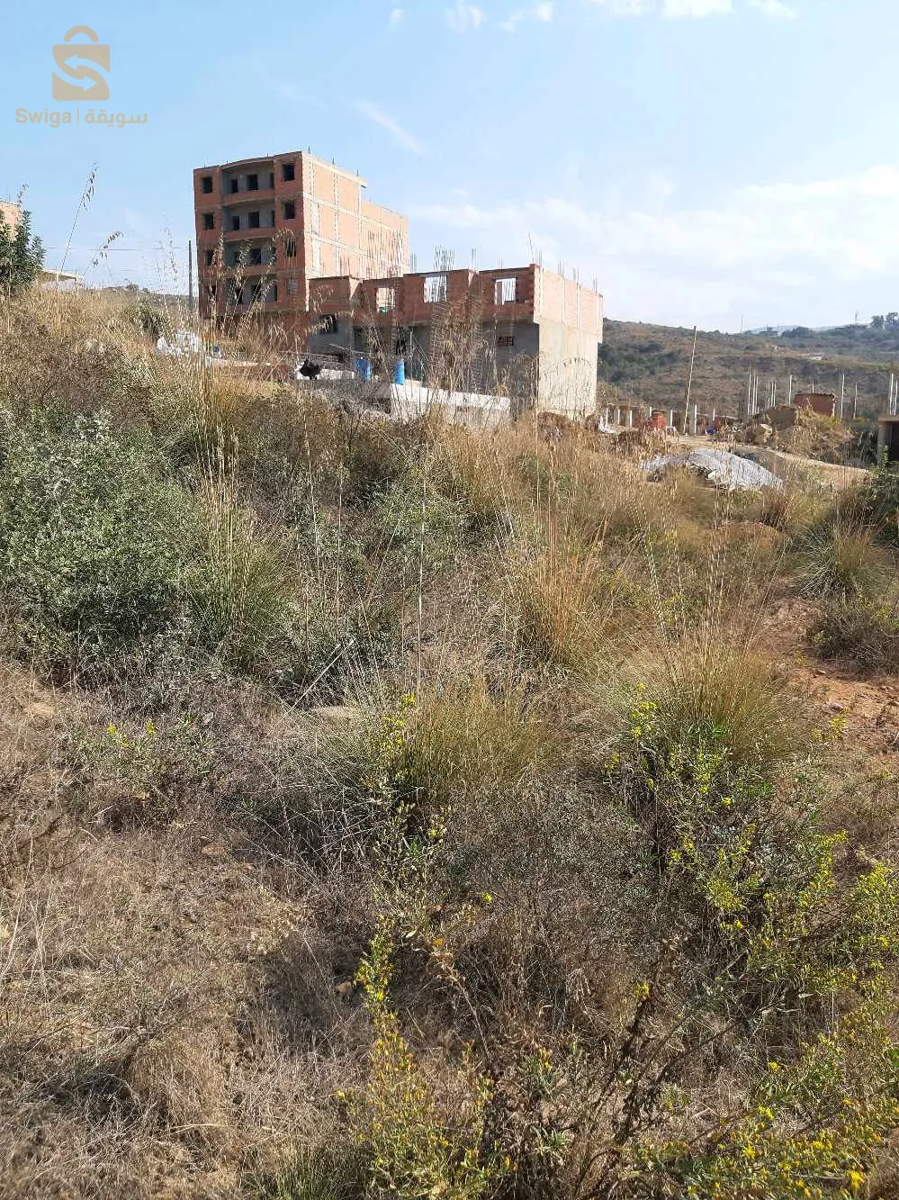lot terrain