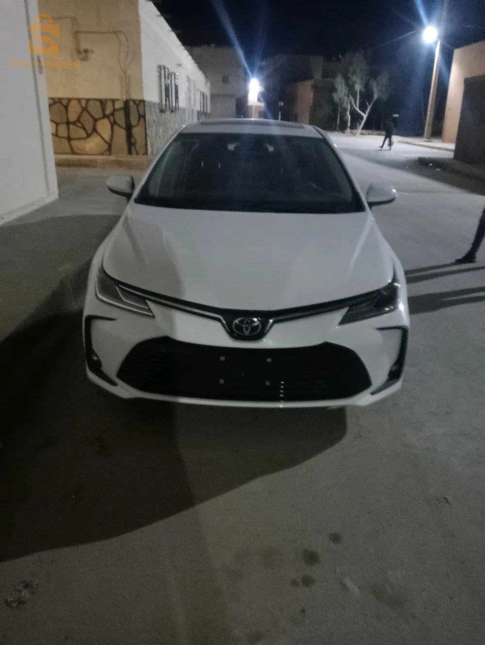 معروض