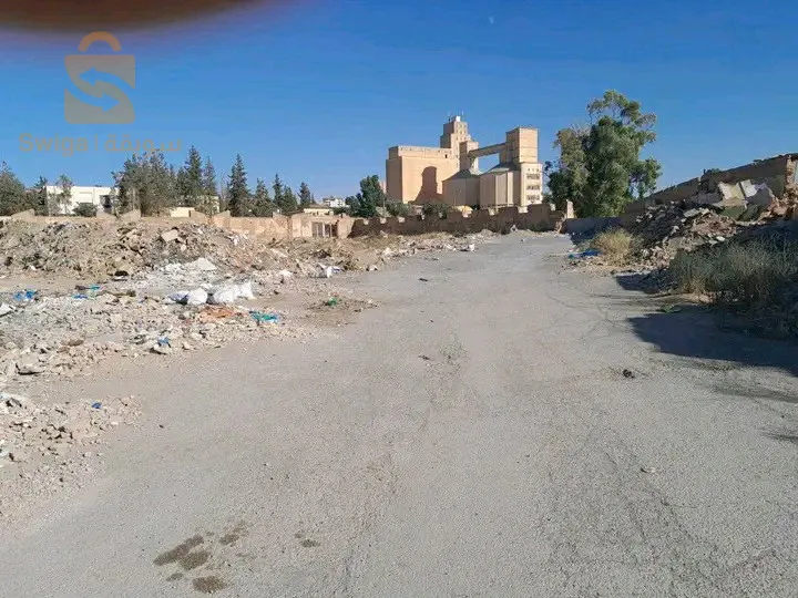 ارض بيقرب من حي الزيتون ولاية سعيدة سونروفيل