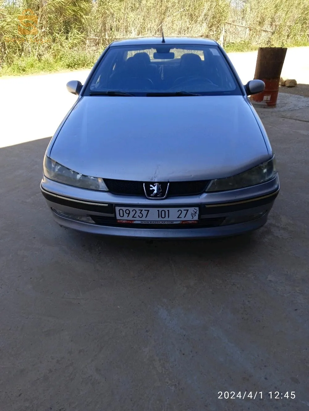 عشعاشة مستغانم