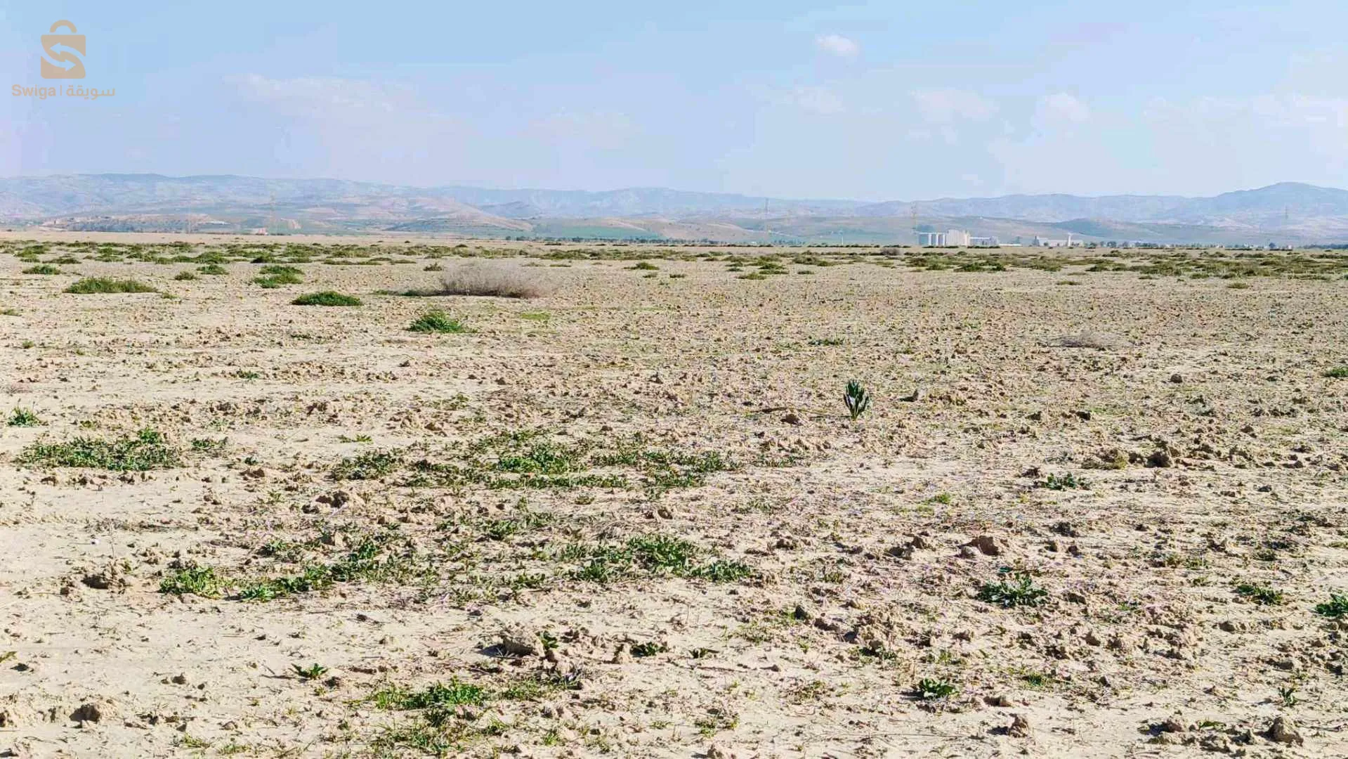 ارض فلاحية للبيع بلدية المحمدية في الصفافحة