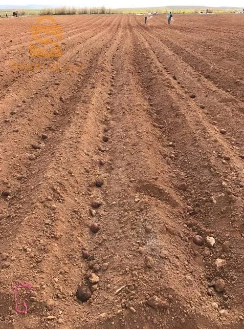 غليزان بلدية سيدي محمد بنعود