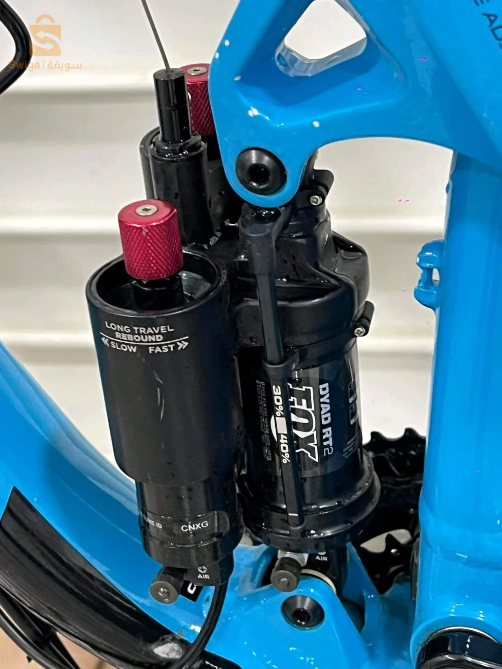 فيلو كانودال فرنسية