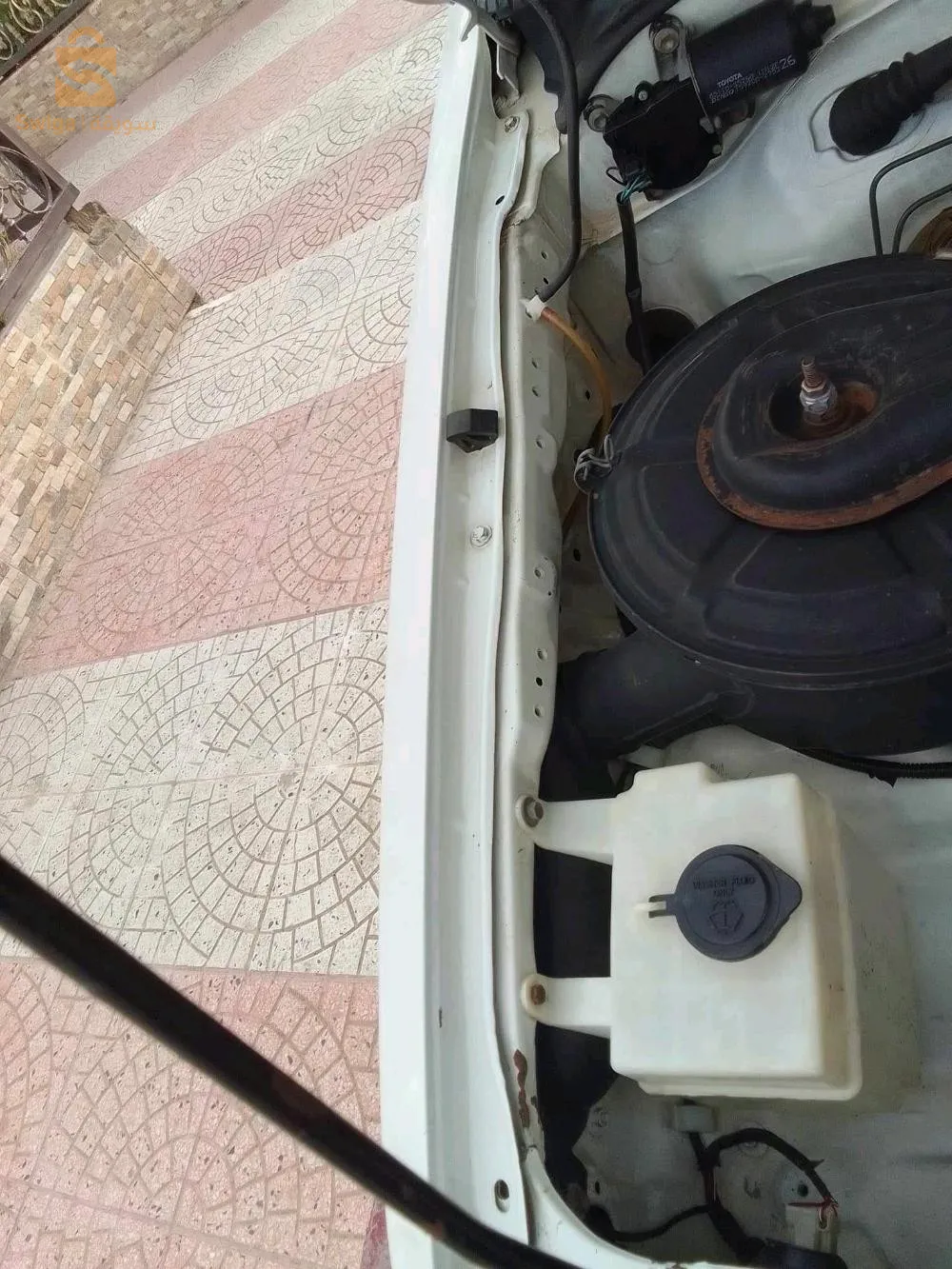 شلف