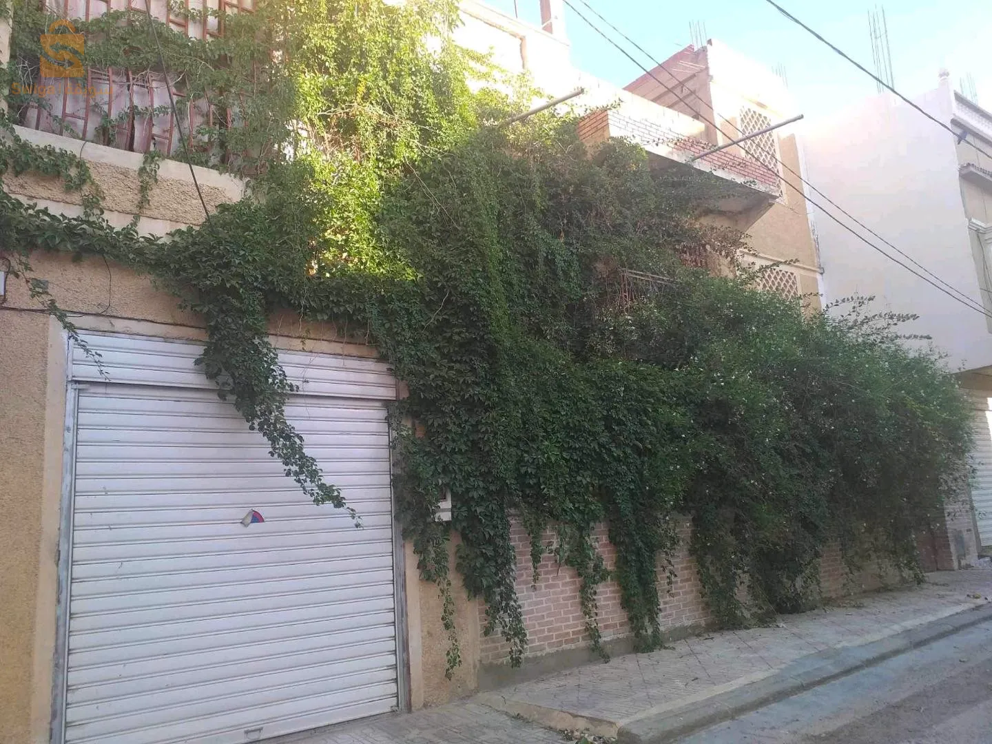 خنشلة