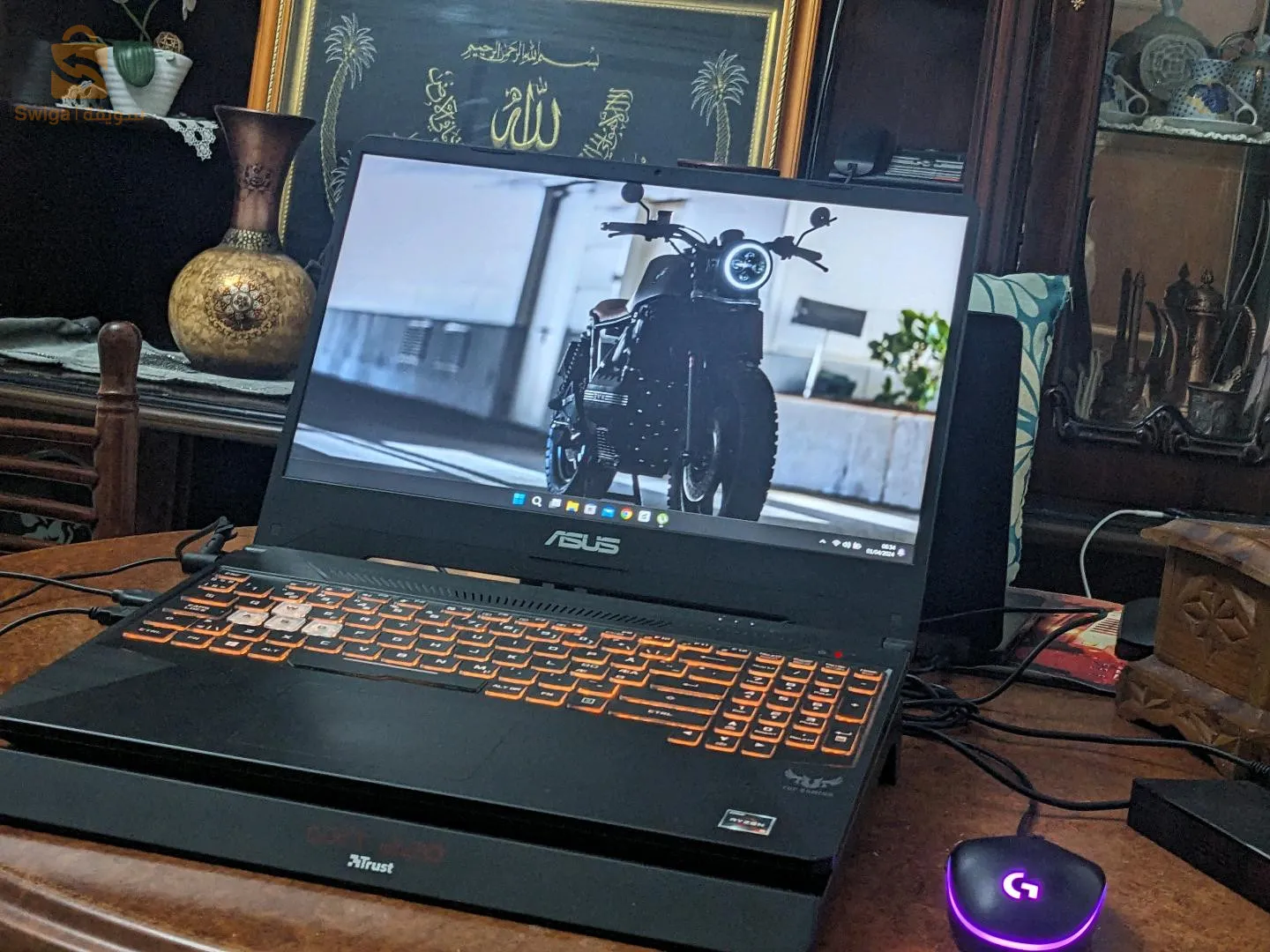 pc gamer, capable of running AAA's games, and FPS games also