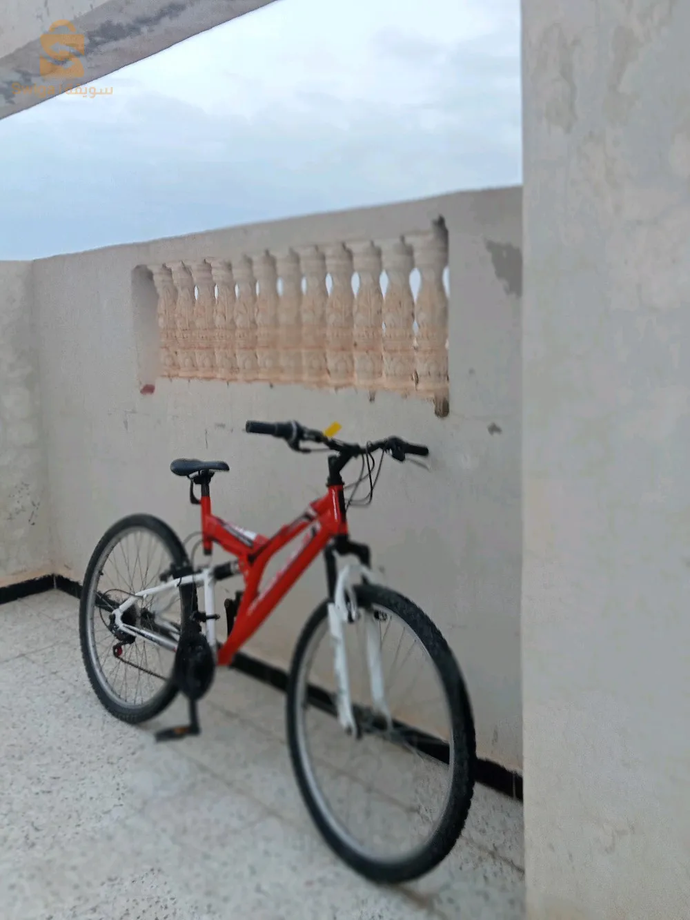 معسكر