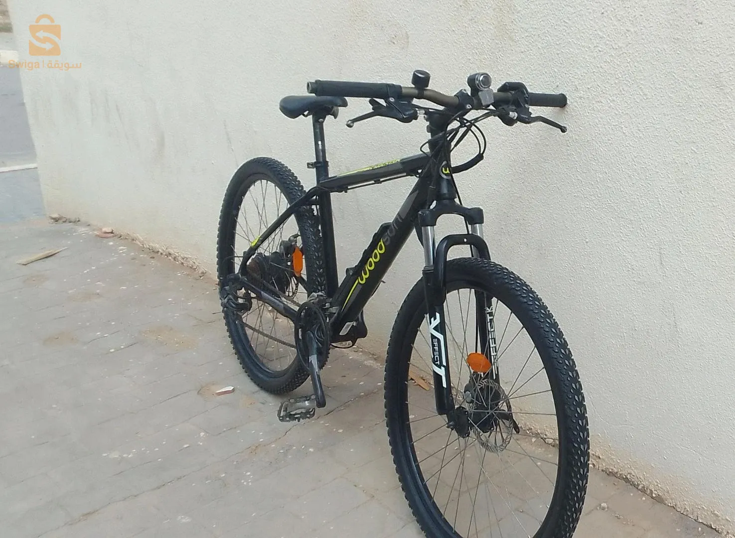 حاسي ماماش مستغانم