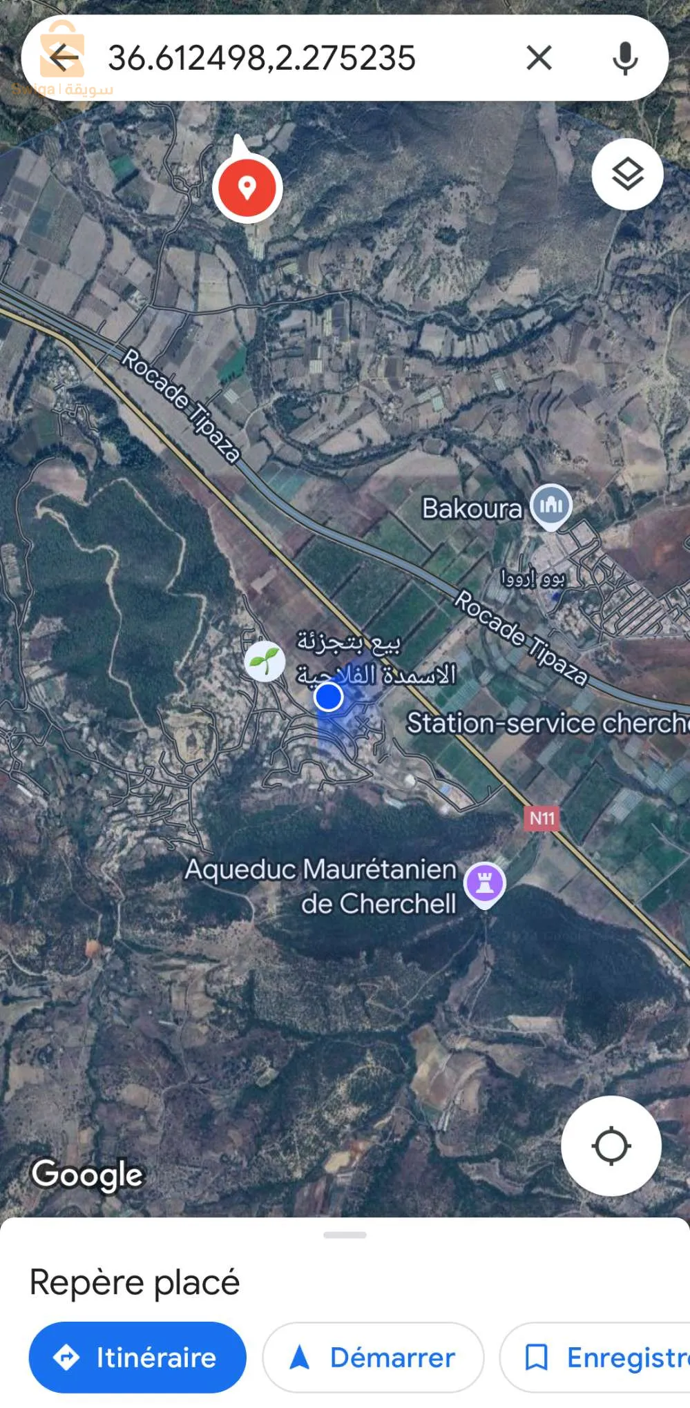 بيع الاسمدة الفلاحية كوشار ولاية تيبازة