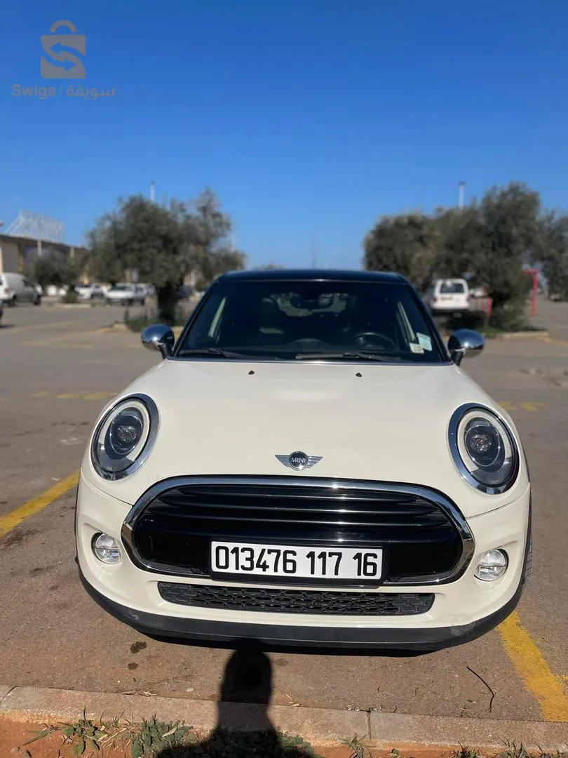 ميتي كوبر ديازال 2017