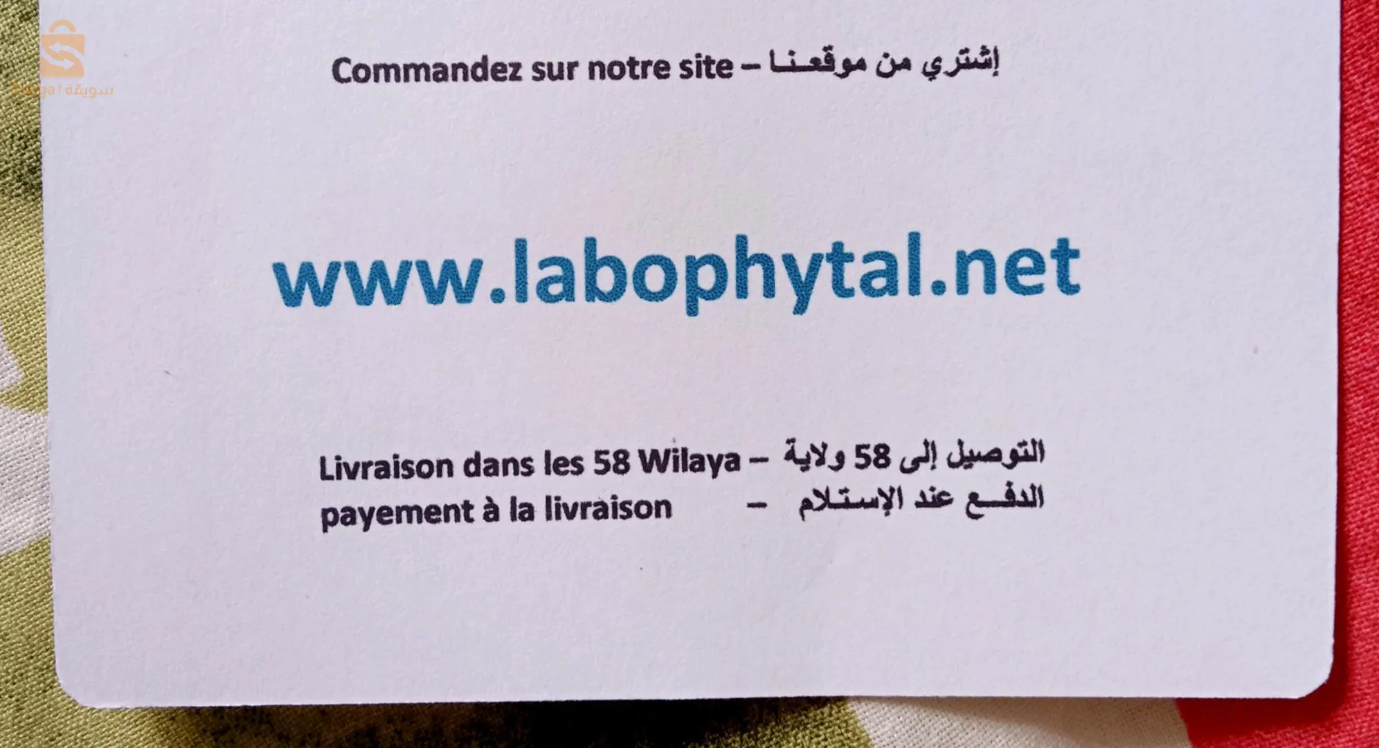 Vitamine C en poudre d'origine végétale