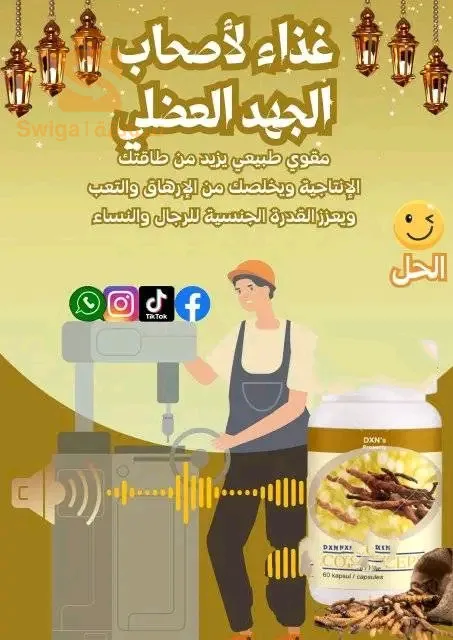 الجزائر