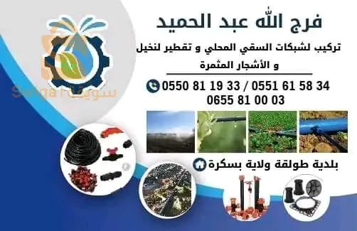 طولقة ولاية بسكرة