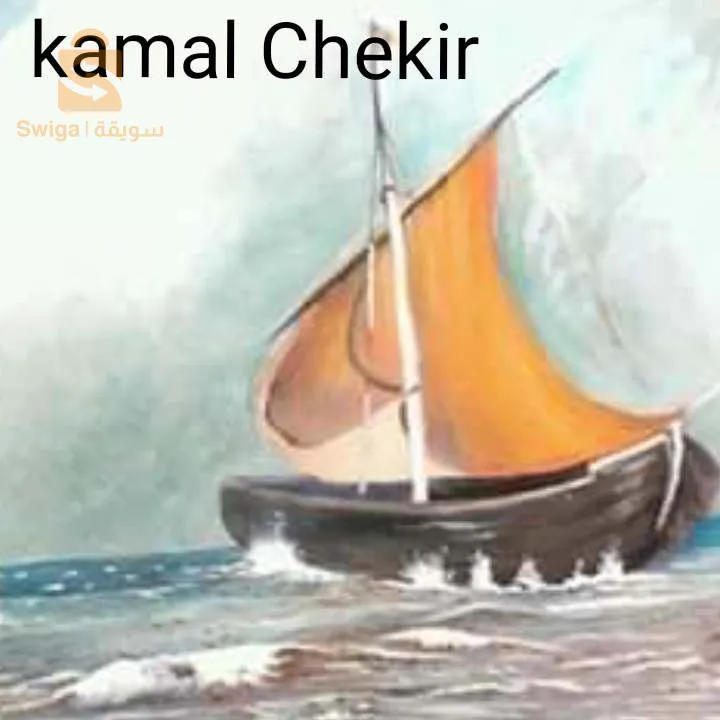 kamelchekir@live.fr
