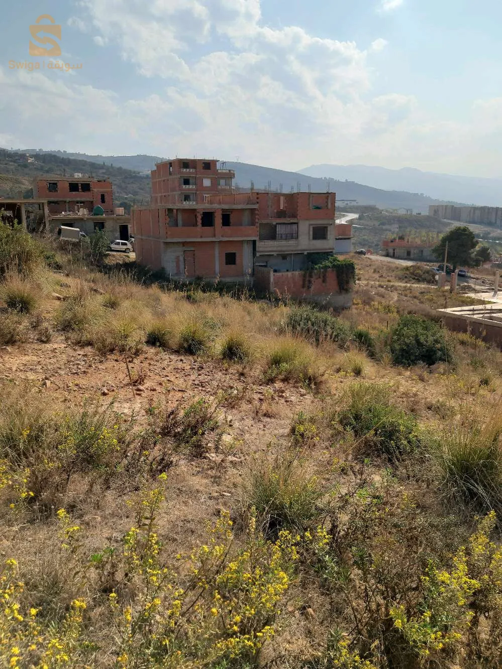 lot terrain