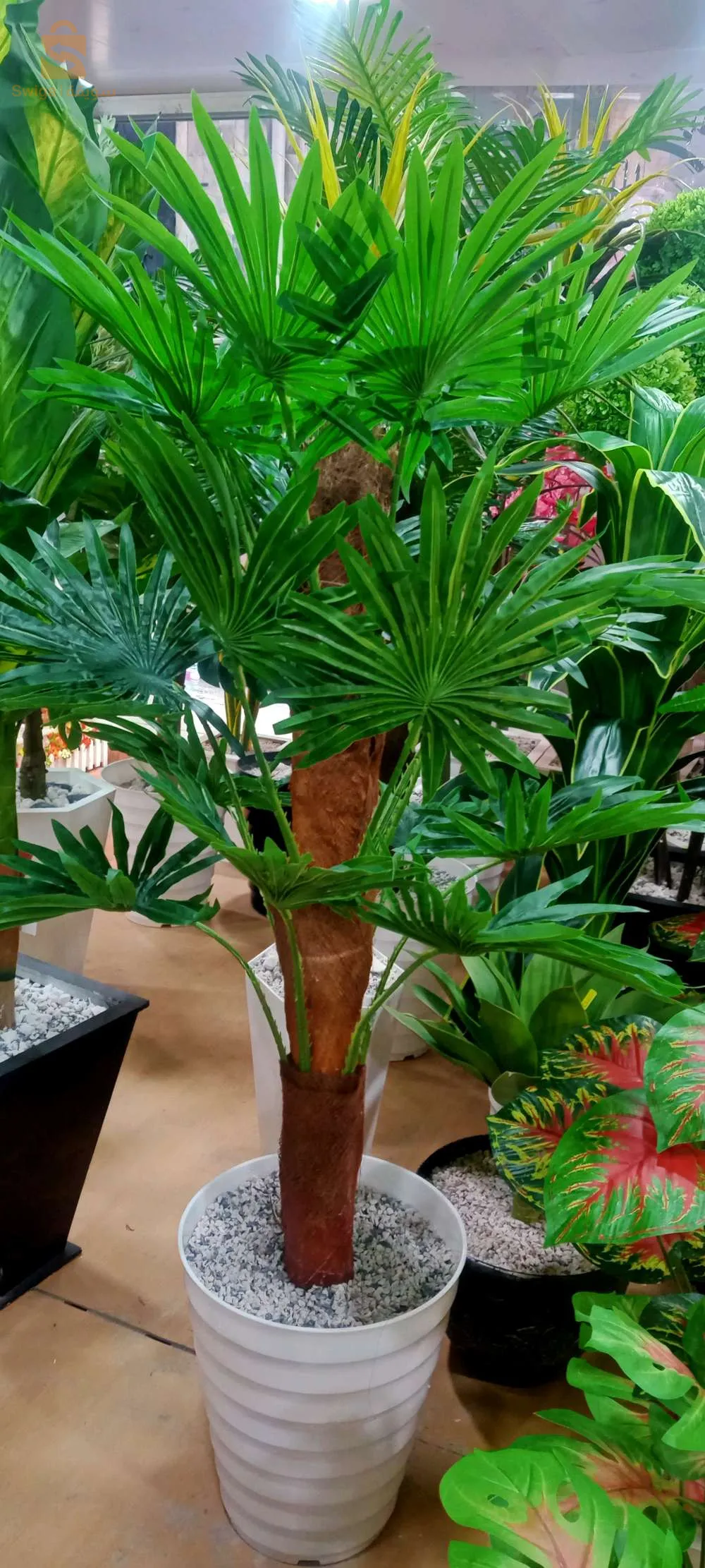 ديكورات المنزل...لوحات،مرايا و أشجار اصطناعية