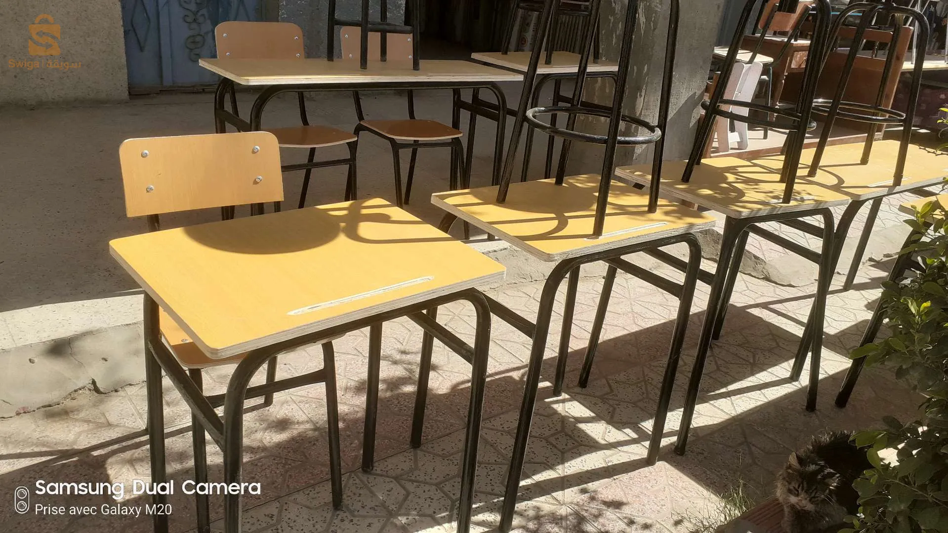 العالية الشمالية بسكرة