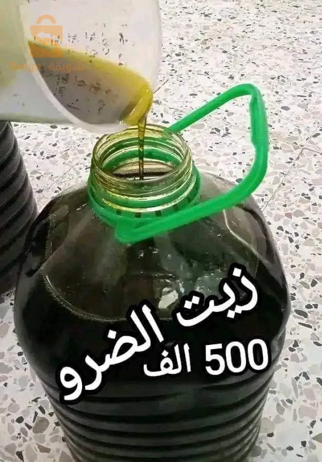 القل سكيكده الجزائر