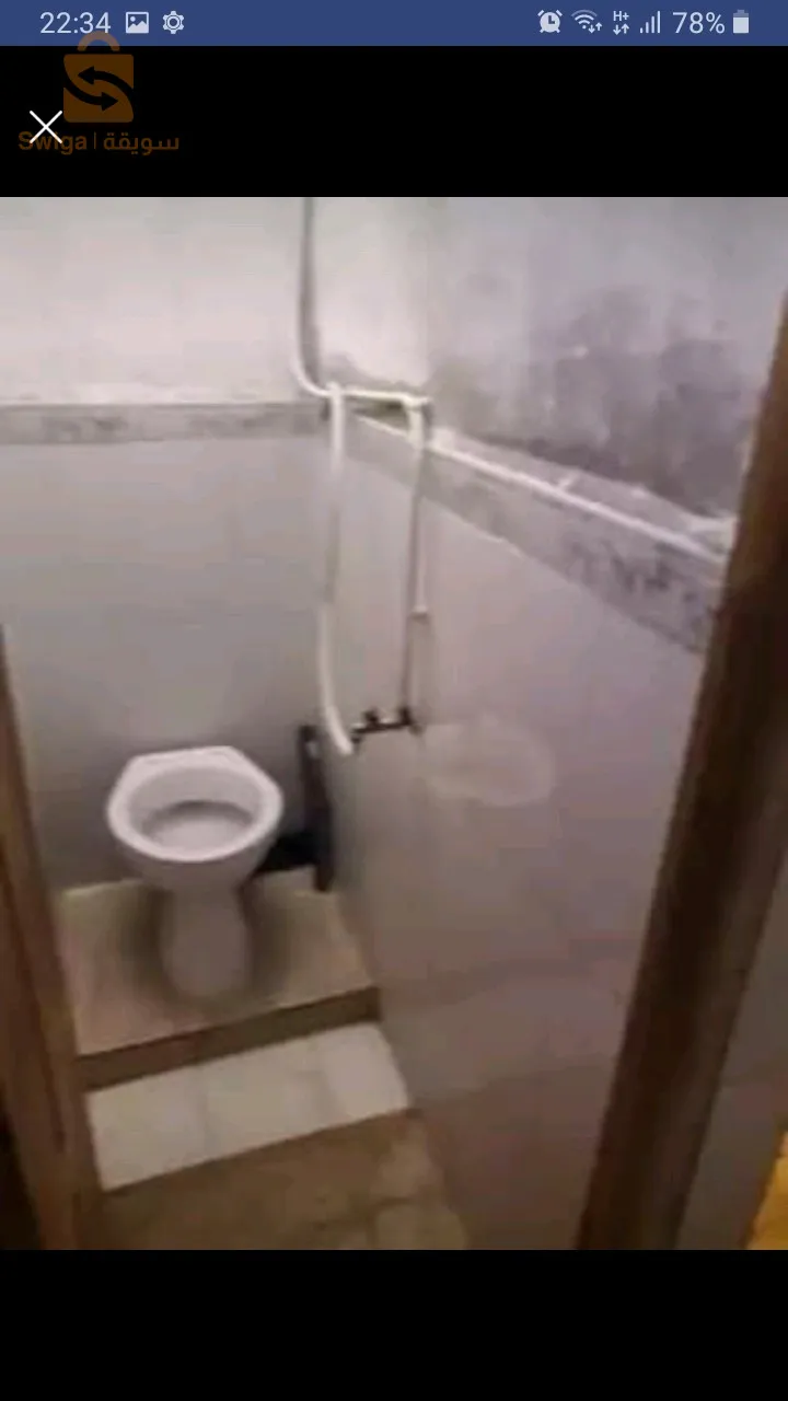 شقة