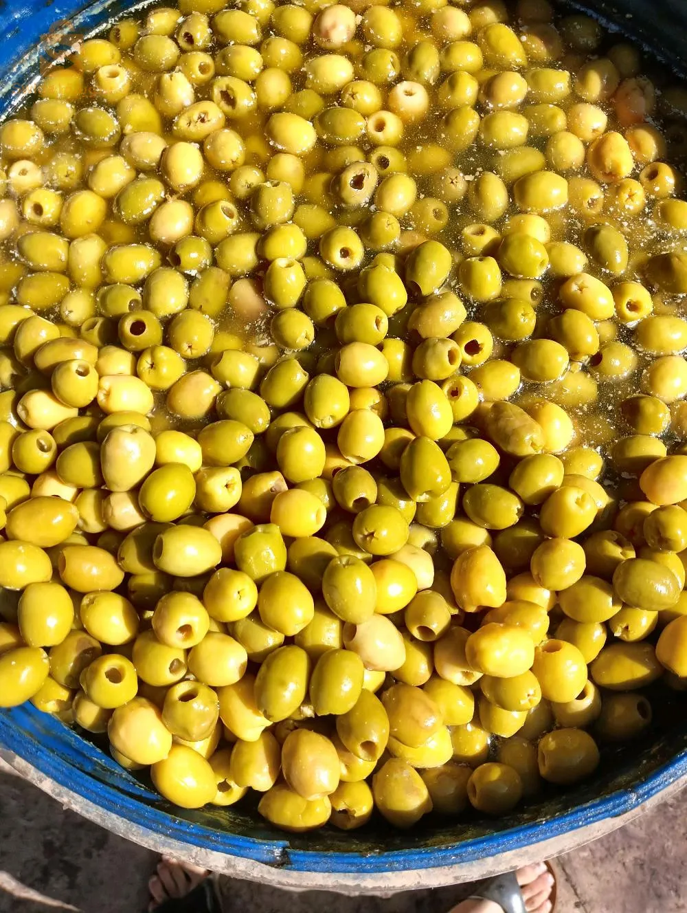 متوفر انواع زيتون للبيع