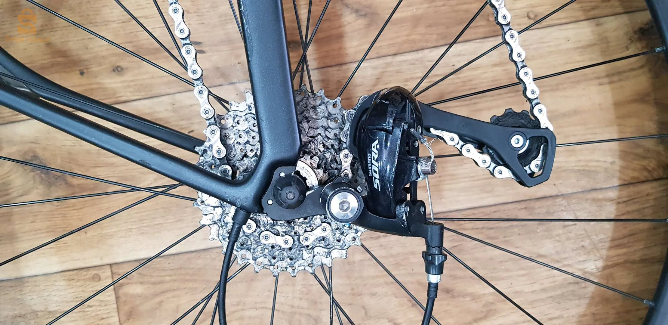Vélo cours  spisializd carbon