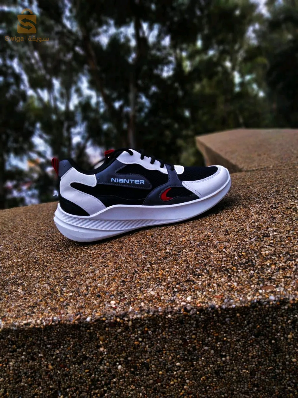 بئرخادم الجزائر