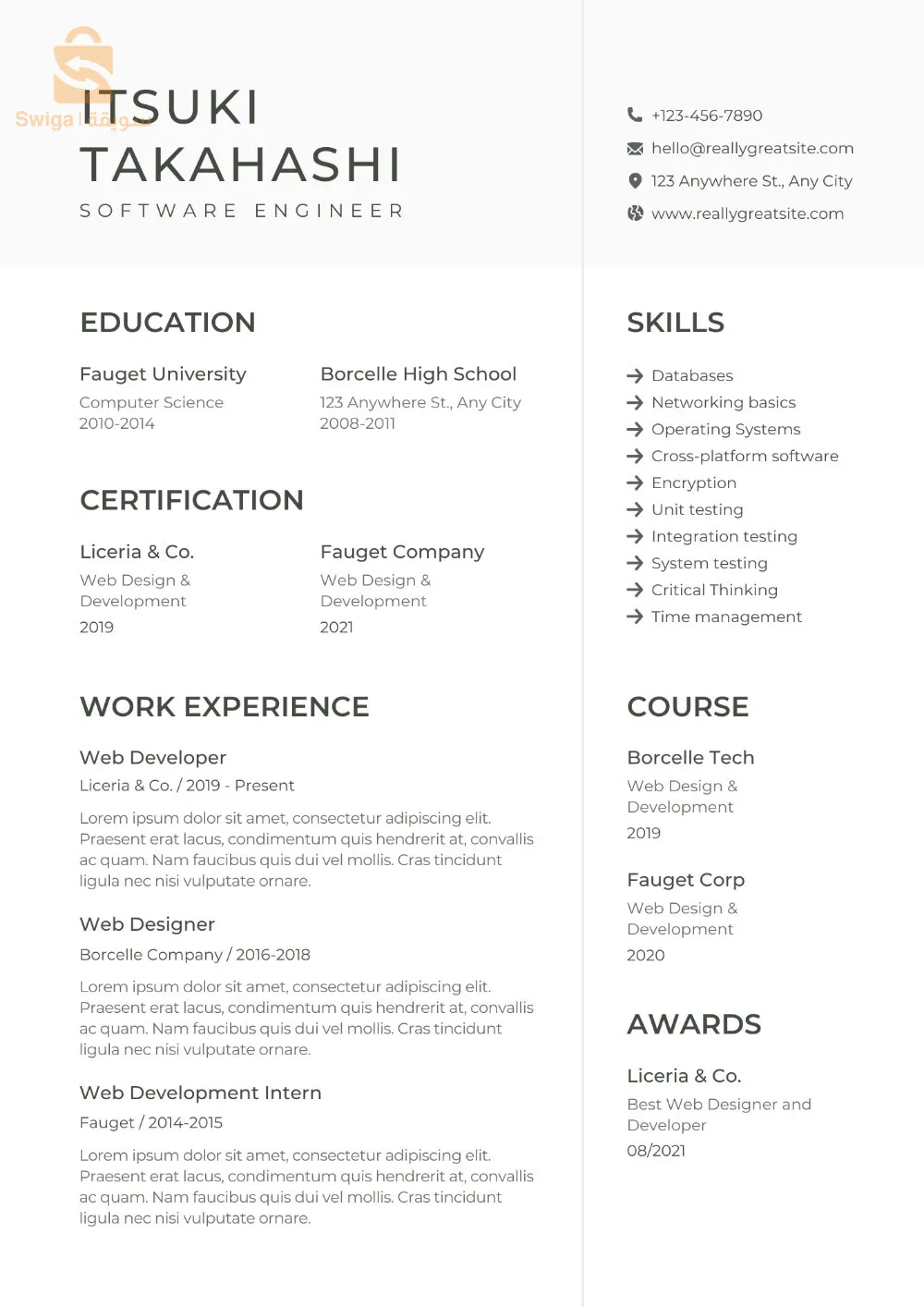تصميم السير الذاتية - professional CV