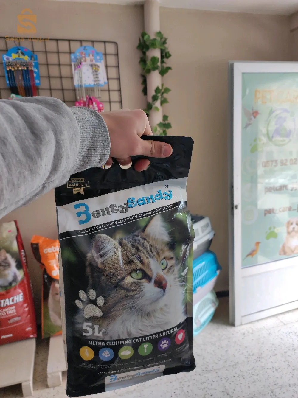 تراب القطط Litière pour chats