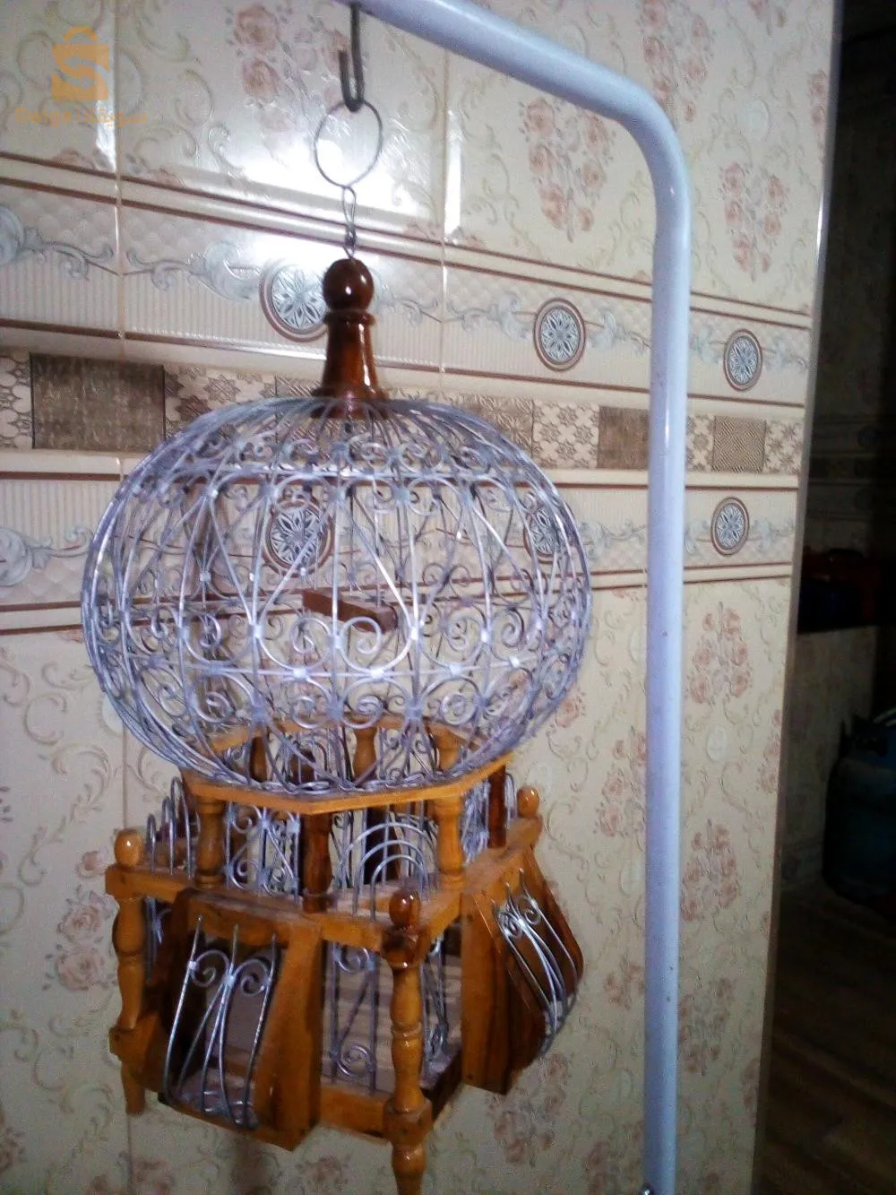 قفص معا حامل تاعو