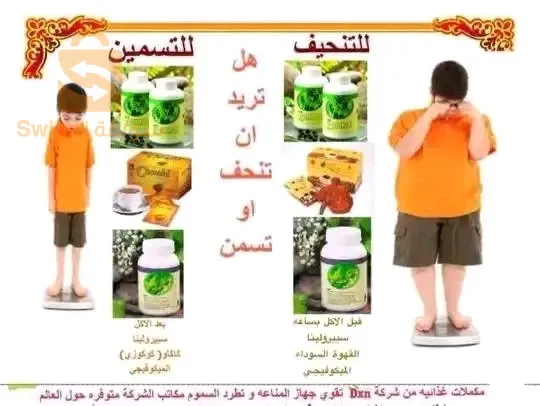 الجزائر