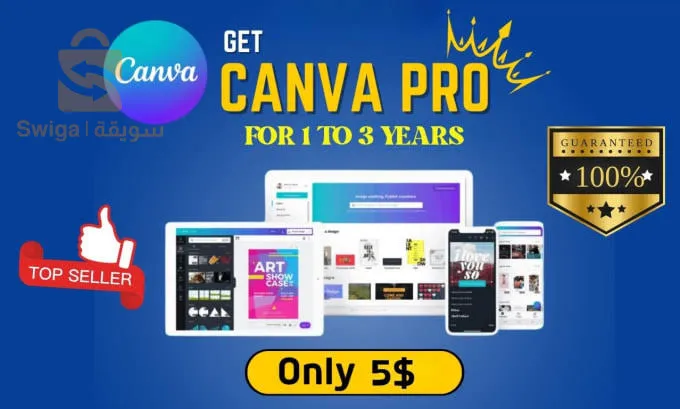 Canva pro , Netflix premium subscription, TikTok beta