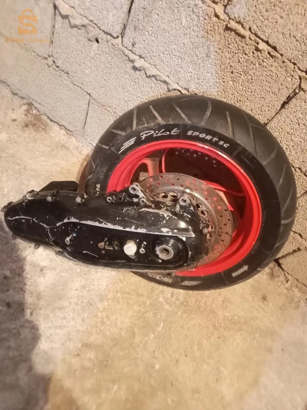 الجزائر