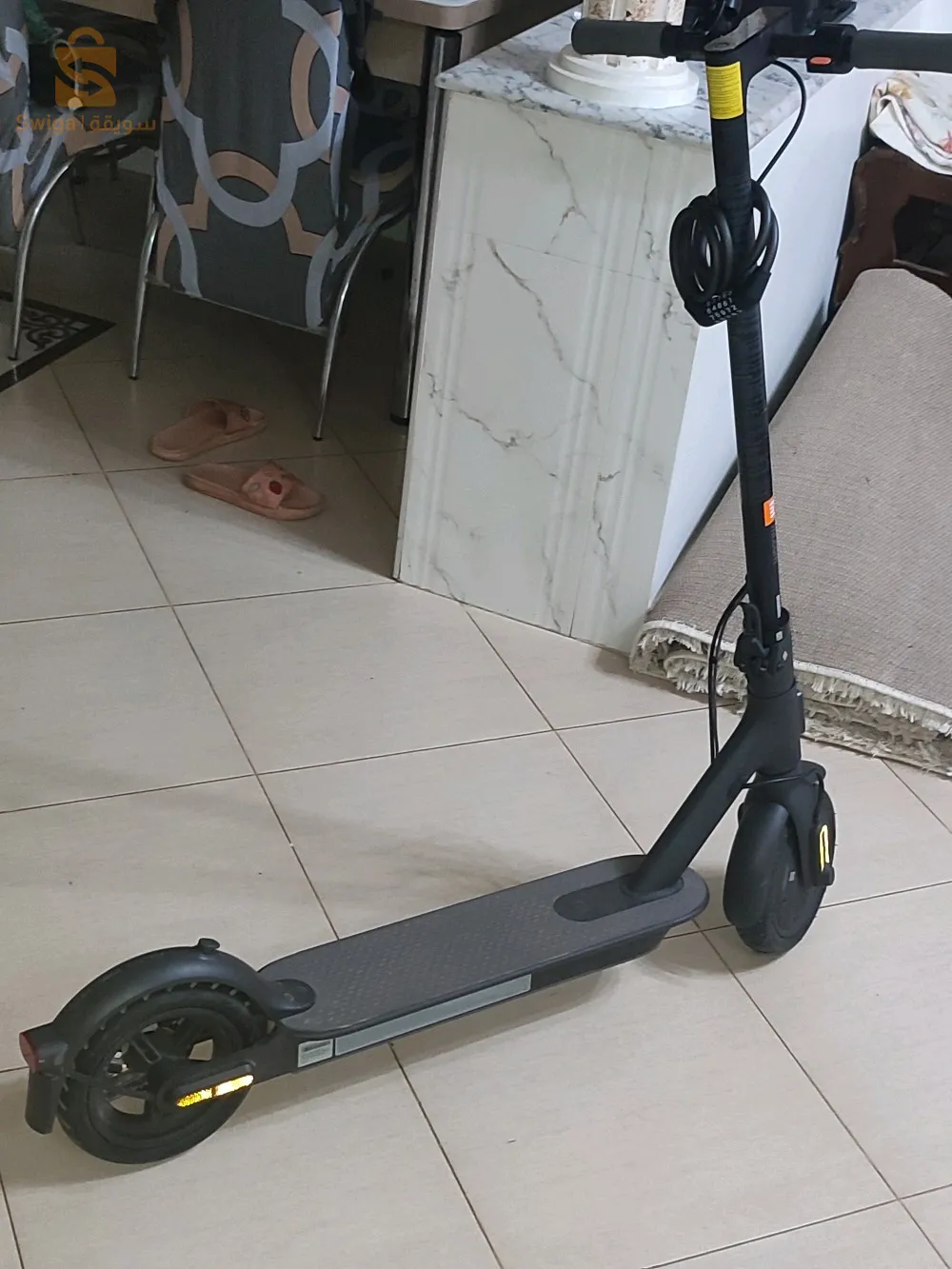 تروتنات مي  Mi