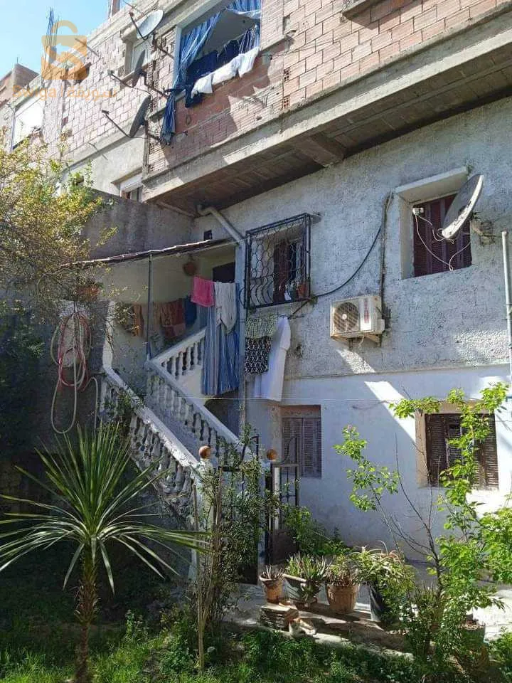 الجزائر
