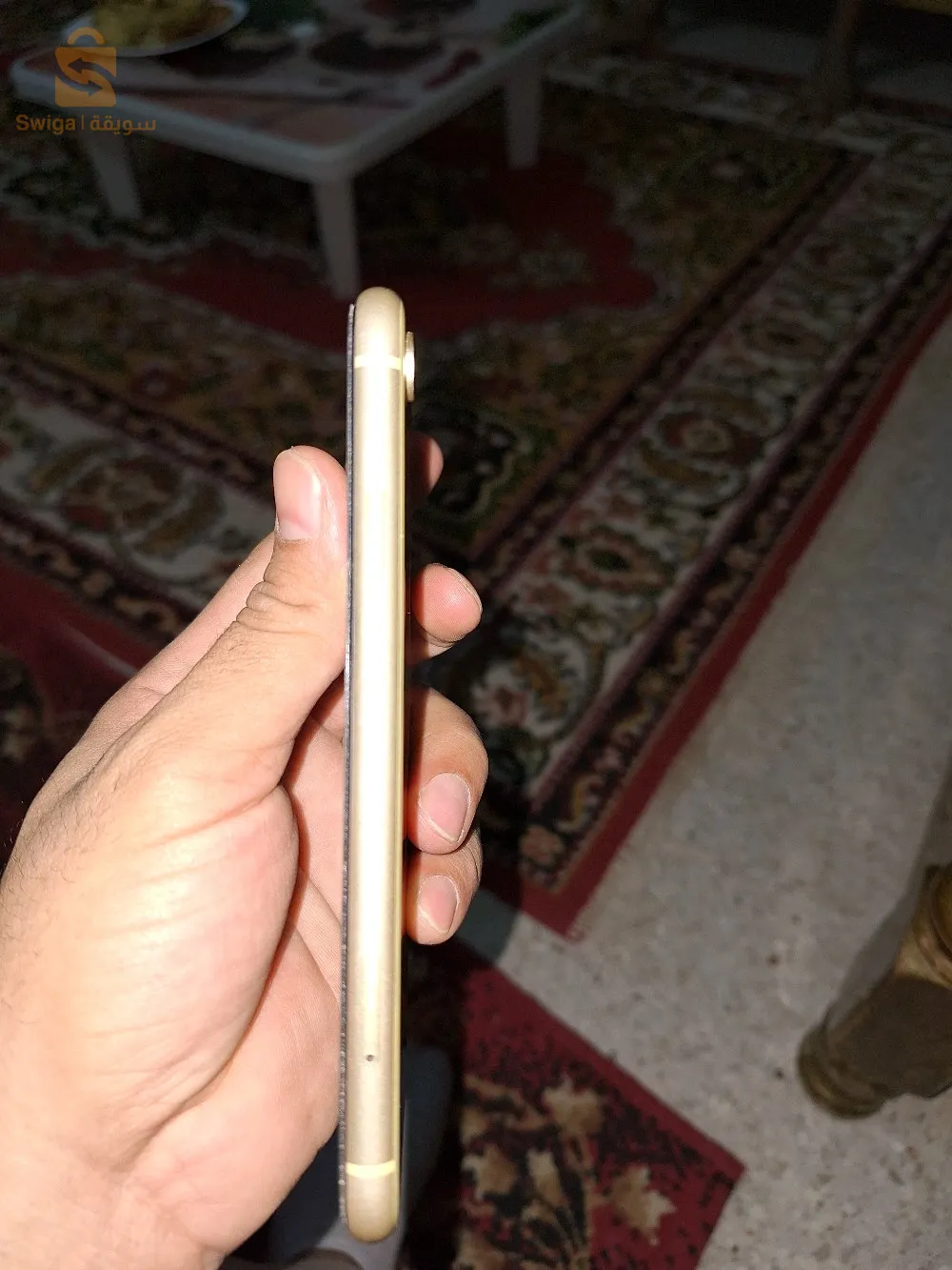 سيدي بوغفالة ورقلة